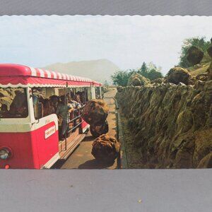 Vintage Postcard - Avalanche Glamortram Universal Studios - Continental Card